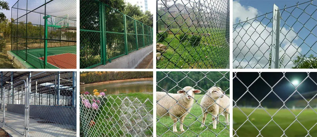 Hot Selling Product with Top Quality Galvanized Chain Link Fence